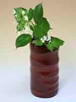 竹の花入れ 000000000301-01-m.jpg?t=